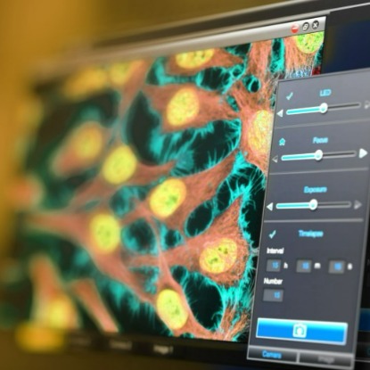 Cell Imaging